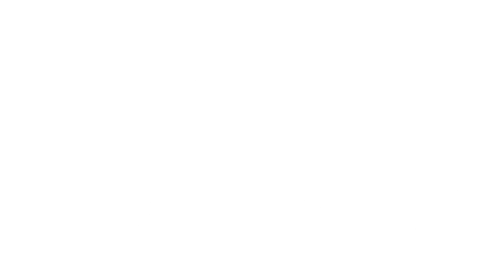 Fundação MT